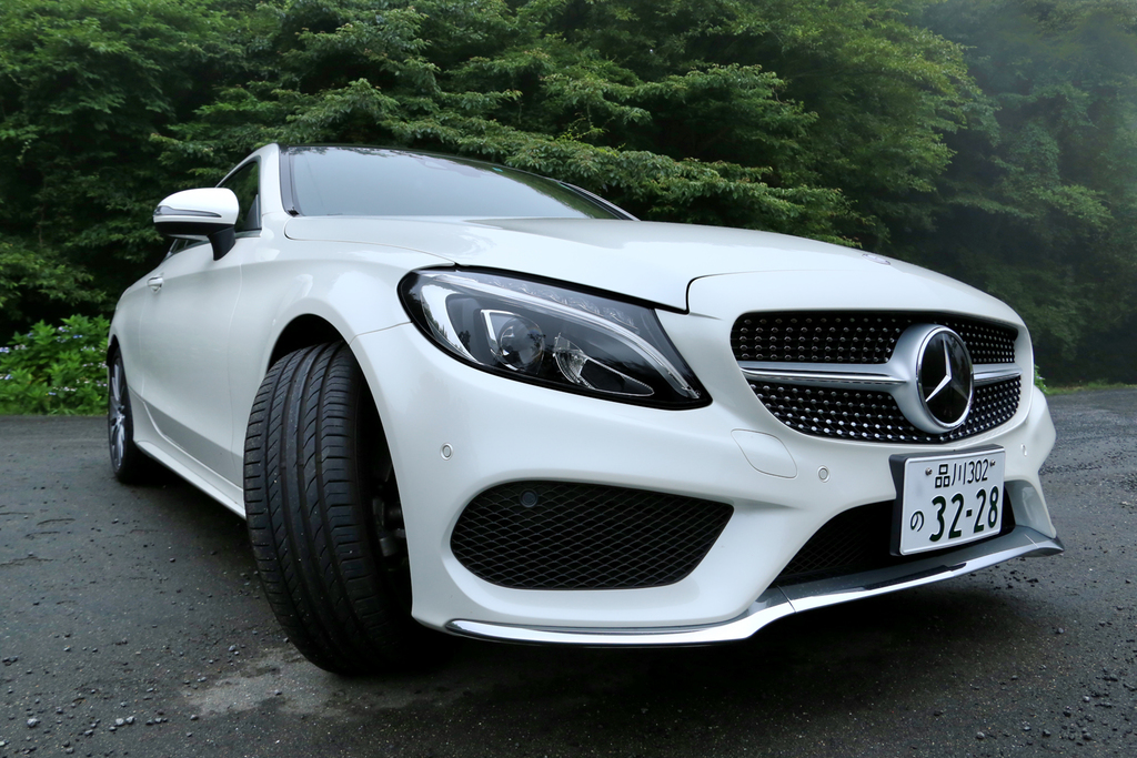 なかなか迫力のあるフロントフェイス