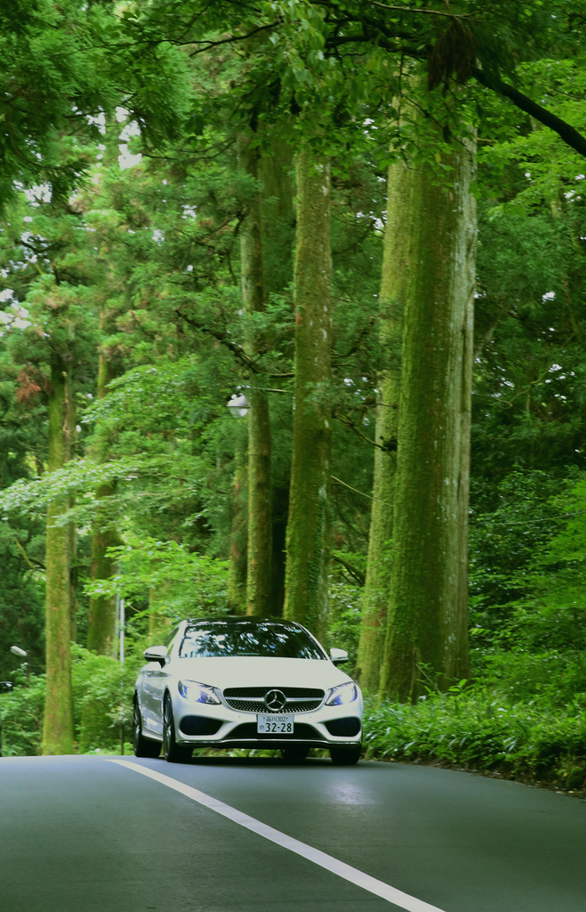 箱根神社の近くを駆け抜けるメルセデス・ベンツのＣクラスクーペ