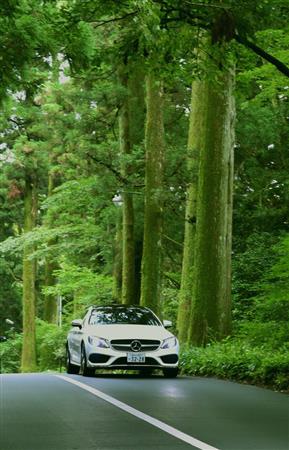 箱根神社の近くを駆け抜けるメルセデス・ベンツのＣクラスクーペ