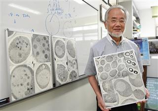 「オートファジー（自食作用）」と呼ばれる仕組みを解明した大隅良典・東工大栄誉教授＝７月、横浜市の東工大すずかけ台キャンパス