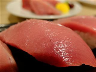 きめ細やかな脂が乗っており、臭みもなく、筋がほとんどないため、非常に食べやすいのが特徴の「伊予の媛貴海」 きめ細やかな脂が乗っており、臭みもなく、筋がほとんどないため、非常に食べやすいのが特徴の「伊予の媛貴海」