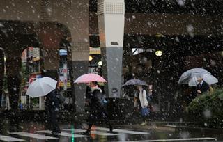 都心で初雪雪の降る中、駅へと向かう人たち＝１１月２４日、東京都杉並区（早坂洋祐撮影）