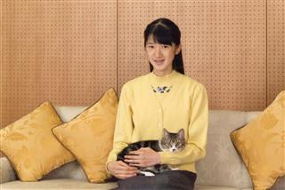 ９月から飼い始めた子猫の「セブン」をあやされる敬宮愛子さま＝東京・元赤坂の東宮御所（宮内庁提供）