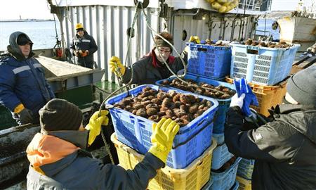 北方領土周辺海域で採れたウニの水揚げをする日本とロシアの水産関係者＝１６日午前、北海道根室市の花咲港