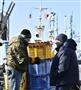 北方領土周辺海域で採れたウニを北海道根室市の花咲港で水揚げしたロシアの水産関係者。漁船のマストには日ロの国旗が並ぶ＝１６日午前