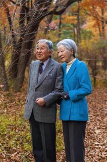 皇居・東御苑の二の丸庭園を散策される天皇、皇后両陛下(宮内庁提供) 皇居・東御苑の二の丸庭園を散策される天皇、皇后両陛下(宮内庁提供)