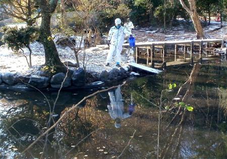 東山動植物園の「古代池」を消毒する作業員（同園提供）