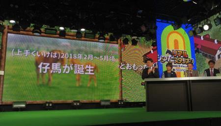 本物の競走馬を育て走らせる「リアルダービースタリオン」