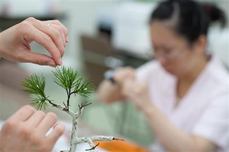 松葉一本一本にまで気持がこもる