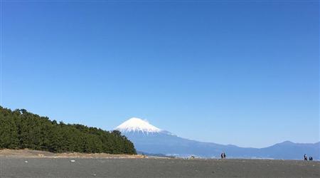 富士山と三保松原のコラボはやはり絶景