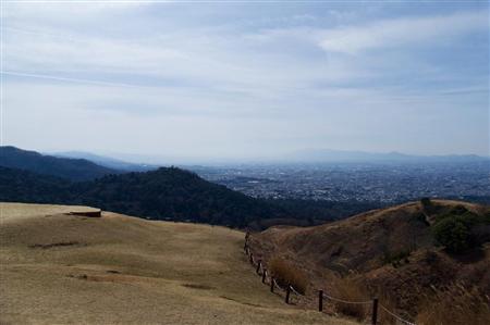 取材からちょうど１週間後、ここで「鹿せんべい飛ばし」大会やったみたいです。優勝者の記録は３８メートル。見てみたかったなぁ、クルマと関係ないけど。ダイハツ・トール