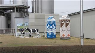 復興の象徴「酪王カフェオレ」などを生産、出荷している酪王（おう）乳業の本社工場。入り口でカフェオレと牛乳、牛のオブジェが迎えてくれた＝福島県郡山市大槻町