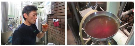 発酵タンクに移す前の麦汁を確かめる出口ヘッドブルワー。麦汁の色が赤い！