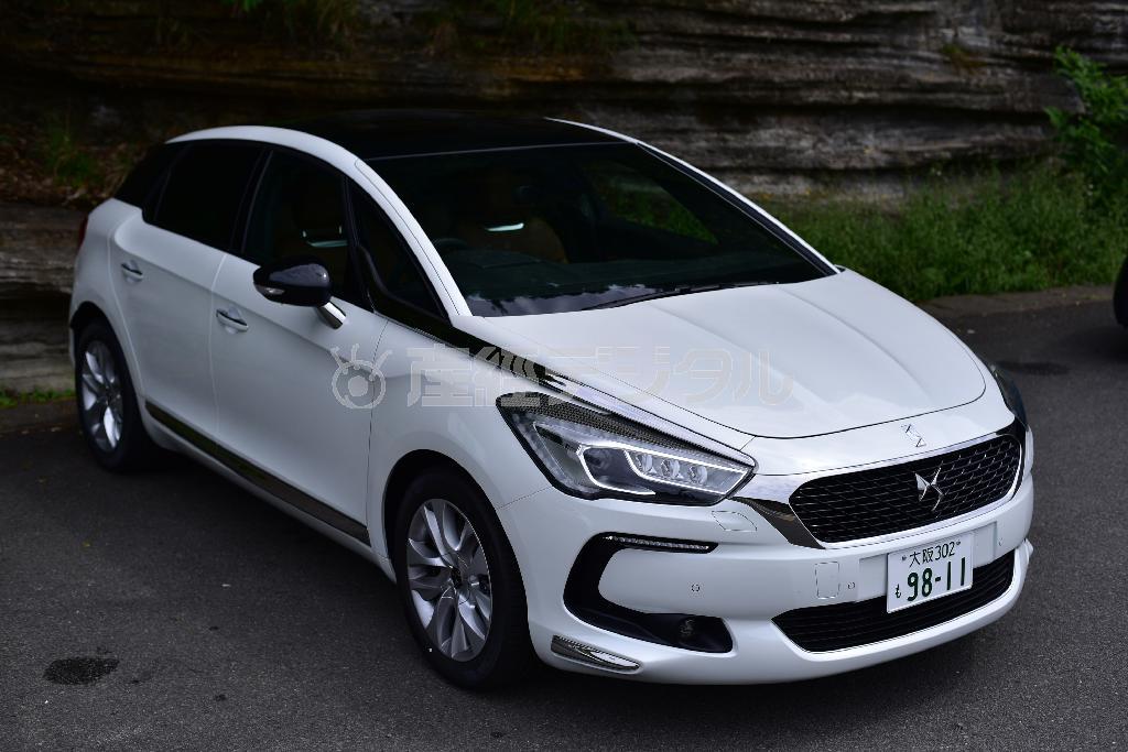 少し上からのアングルだとまた違った感じ。実物確かめてみたくなるでしょ？ＤＳ５