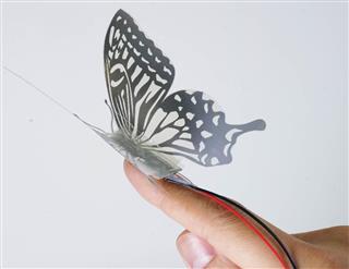 チョウのソフトロボット(東京大提供) チョウのソフトロボット(東京大提供)