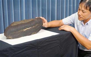 房総半島沖の海底から採取した厚さ１３センチの「コバルトリッチクラスト」＝５日午後、文部科学省