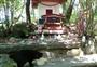猫神様のいる「猫神社」。島の猫の姿もみえる