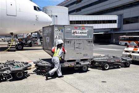 トーイングトラクターに連結されたコンテナドーリー（荷台）の上に貨物を並べていく酒井さん。重いものは１トンにも達するそうだ