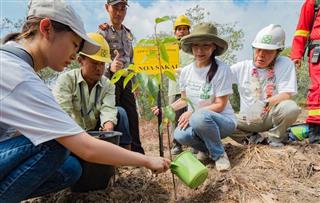 汗を流して森林再生に向け植樹活動に力を入れる日本の一般ボランティア（長谷川周人撮影）
