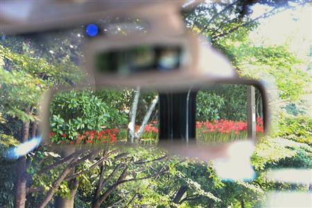 ルームミラーで後方確認。中央にバックドアのフレームが映り込むのは避けられない