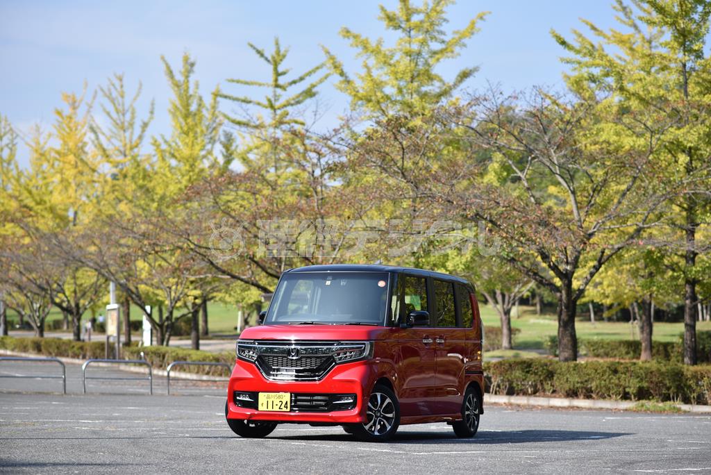 秩父ミューズパークの銀杏並木をバックに。ホンダ・Ｎ－ＢＯＸカスタム