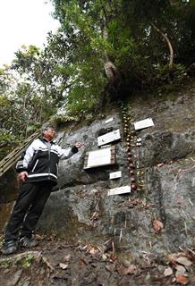 約７７万年前に地球の磁気の向きが逆転した跡が、良好な状態で残る千葉県市原市の地層＝１３日