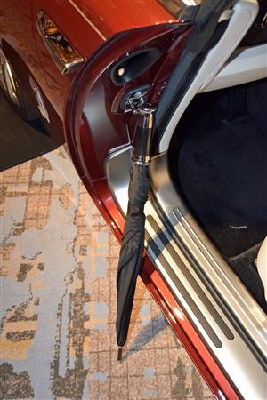 ドアを開けると傘が格納されていた