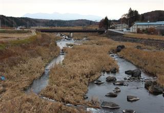 カワウソに似た動物の目撃情報があった余笹川＝那須町沼野井