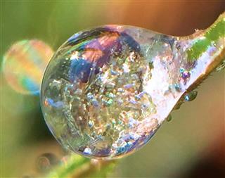 氷結水滴では、溶けつつある結晶に太陽光が当たり、虹色に光っている（荒木健太郎さん提供）