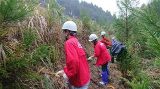 社員らが参加して行われた下草刈りの様子＝１１月２９日、宮崎県えびの市