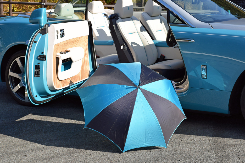 ボディカラーにマッチした傘を開く