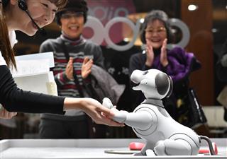 “小文字”で誕生だワン！ソニーストア大阪で展示が始まった犬型ロボット「ａｉｂｏ（アイボ）」＝１１日午前、大阪市北区（沢野貴信撮影）