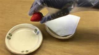 ロボットハンド「F-hand」 ロボットハンド「F-hand」