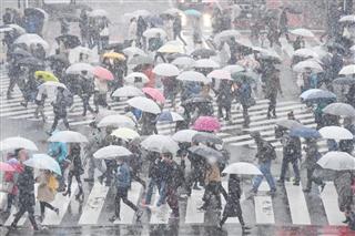 雪が降り続くＪＲ渋谷駅前＝２２日、東京都渋谷区（寺河内美奈撮影）