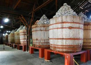 「カクキュー」ブランドを展開する「八丁味噌」社の蔵=愛知県岡崎市 「カクキュー」ブランドを展開する「八丁味噌」社の蔵=愛知県岡崎市