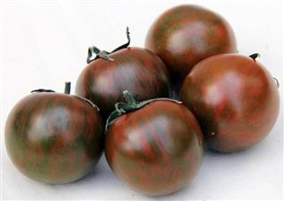 種子が発売されるゼブラ柄トマト「AMAZON」=近畿大提供 種子が発売されるゼブラ柄トマト「AMAZON」=近畿大提供