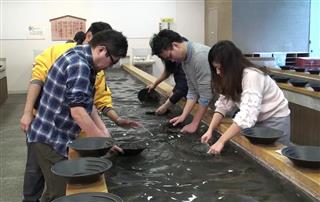 水槽の中の砂をすくって、洗い流して-現在砂金採り体験中 水槽の中の砂をすくって、洗い流して-現在砂金採り体験中