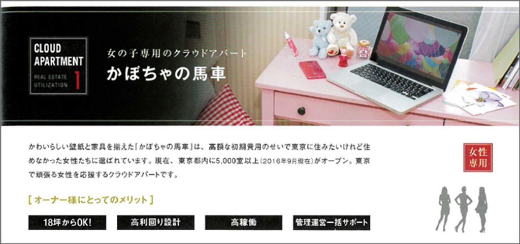 スマートデイズ（旧スマートライフ）のパンフレットより抜粋