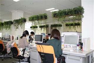 ストレス軽減につながる植物を選定したオフィス緑化サービス「ＣＯＭＯＲＥＢＩＺ」＝東京都中央区の東京建物