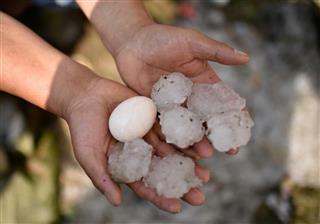 （中国新聞社）