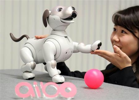 ソニーが発売した犬型ロボット「ａｉｂｏ（アイボ）」＝東京都港区（松本健吾撮影）