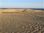 早朝の鳥取砂丘。観光客の足跡が風紋を消していく
