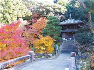 浄土宗総本山・知恩院の納骨堂＝京都市東山区