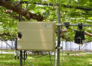 中野市のブドウ農家が導入した「農業ＩｏＴ」。カメラは３６０度動くようになっている