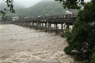 大雨の影響で濁流となった桂川。雨にも関わらず渡月橋を渡る観光客は大勢いた＝５日午前、京都市右京区（寺口純平撮影）