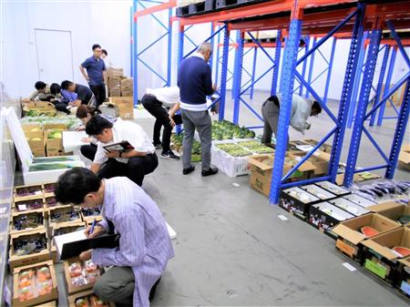博多港から香港に到着した青果物の鮮度を確認するコンソーシアムのメンバーら