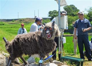 ＬＥＤの目を光らせ、音声とともに威嚇する「スーパーモンスターウルフ」＝兵庫県淡路市生田畑