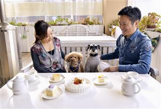 犬用ケーキを提供するカフェ(ホットドッグ提供) 犬用ケーキを提供するカフェ(ホットドッグ提供)