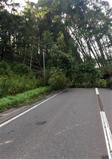 大規模な崖崩れが起きた吉野地区に続く車道235号=6日朝、北海道厚真町(杉浦美香撮影) 大規模な崖崩れが起きた吉野地区に続く車道235号=6日朝、北海道厚真町(杉浦美香撮影)