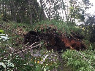 震源に近い厚真町では大規模な崖崩れが発生した=6日朝、北海道厚真町(杉浦美香撮影) 震源に近い厚真町では大規模な崖崩れが発生した=6日朝、北海道厚真町(杉浦美香撮影)